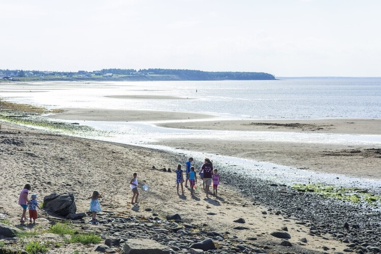 Parc provincial de la plage Murray