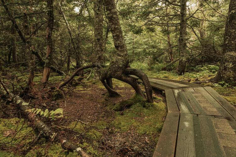 Parc provincial The Anchorage 