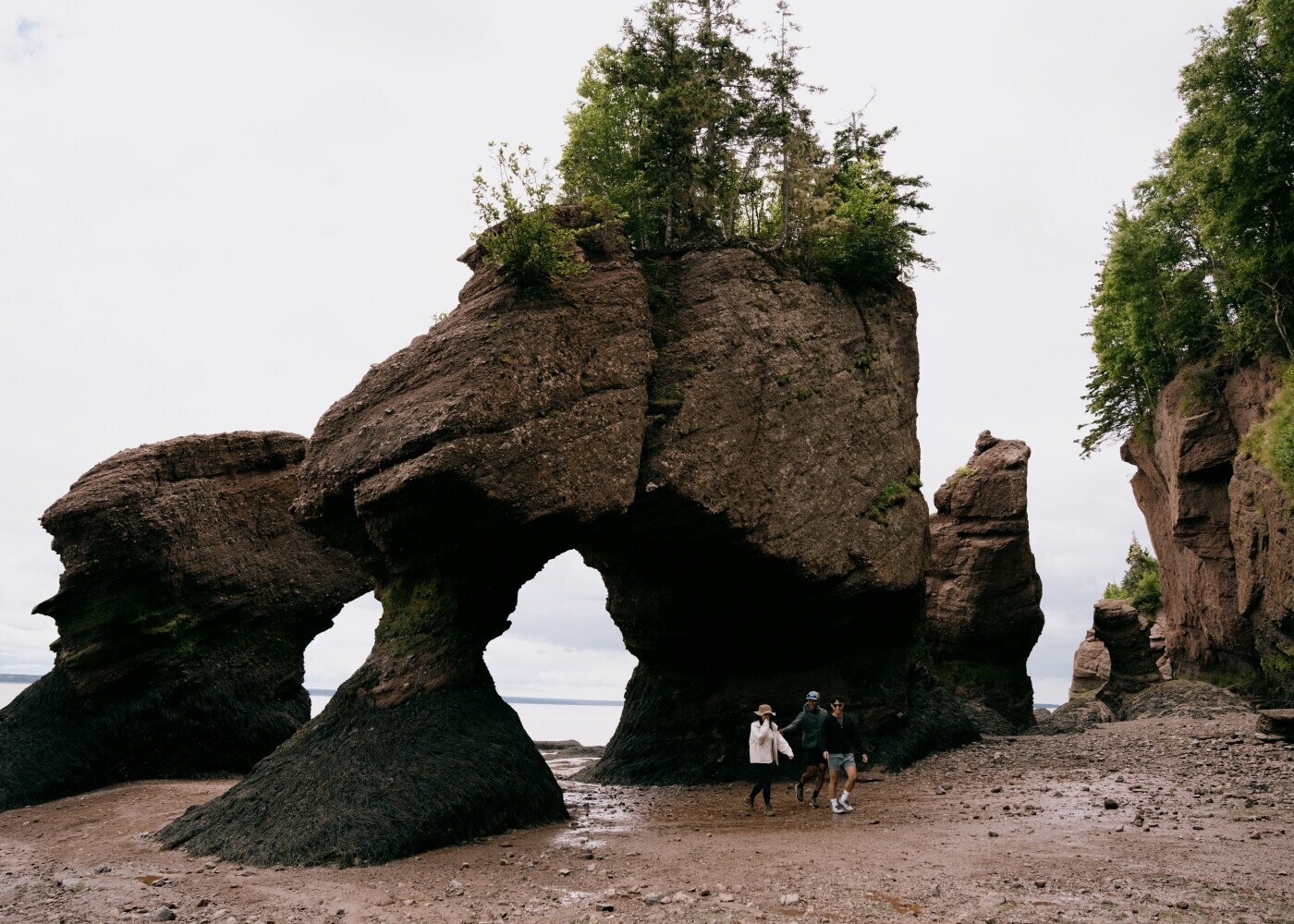 Réduction pour l'entrée dans les parcs pour les résidents du Nouveau-Brunswick